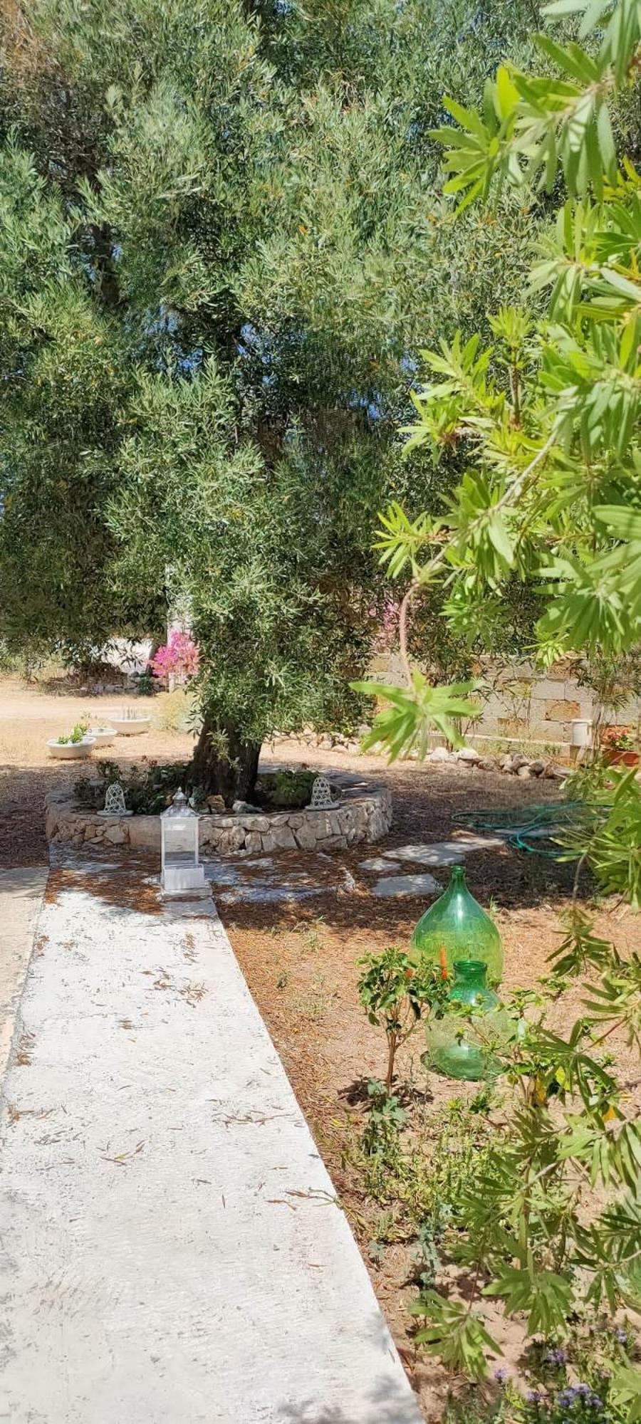 Trullo Alessandro E Villa Raffaela San Vito dei Normanni Chambre photo