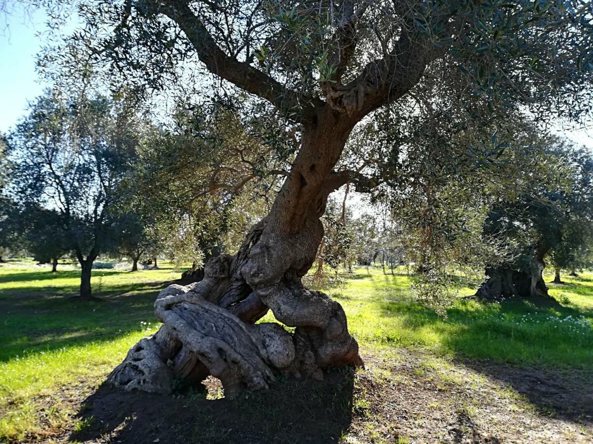 Trullo Alessandro E Villa Raffaela San Vito dei Normanni Extérieur photo